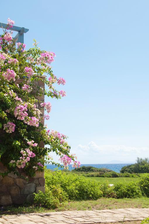 Neapoli Villas Neápolis エクステリア 写真